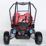 4 Stroke Riverbed Loading 200kg 125cc Go Kart Buggy