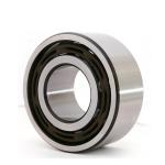 3003 2RS Double Row Angular Contact Ball Bearing Radial Well Sealed Auti Dust