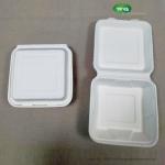 Green And Energy 8*8 And 9*9 Inch1-Compartment, Compostable Clamshell, Natural