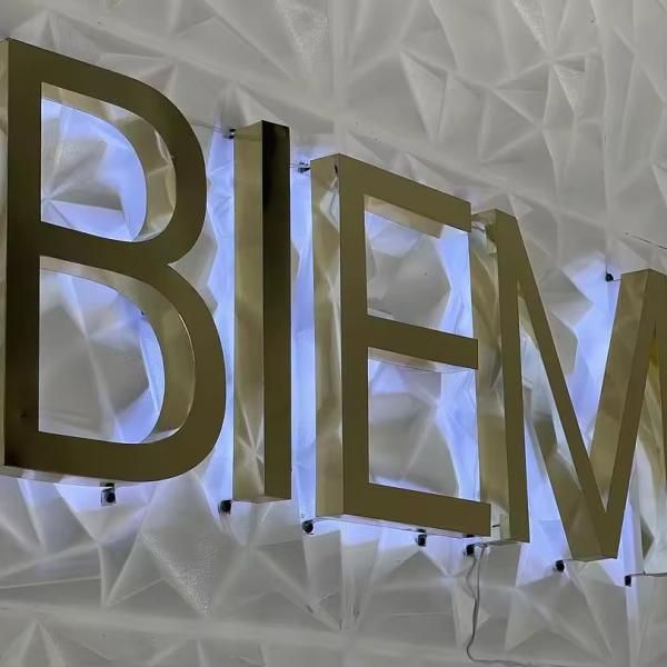 Snow LED Acrylic Backlit LED 3D Sign for Office Logo Custom Stainless Steel