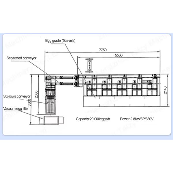 Egg Sorter Egg Grading Machine Egg Grader Machine Production Line/Egg Weight Sorting Conveyor/5 Levels Industrial Stainless Steel Egg Grading Machine