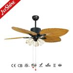 Living Room Functionality Decorative Design 52 Inch ABS Blades Ceiling Fan with