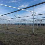 6m 7m 8m 9m Span Clear Plastic Film Greenhouse Vegetable Farming Tomatoes Pepper