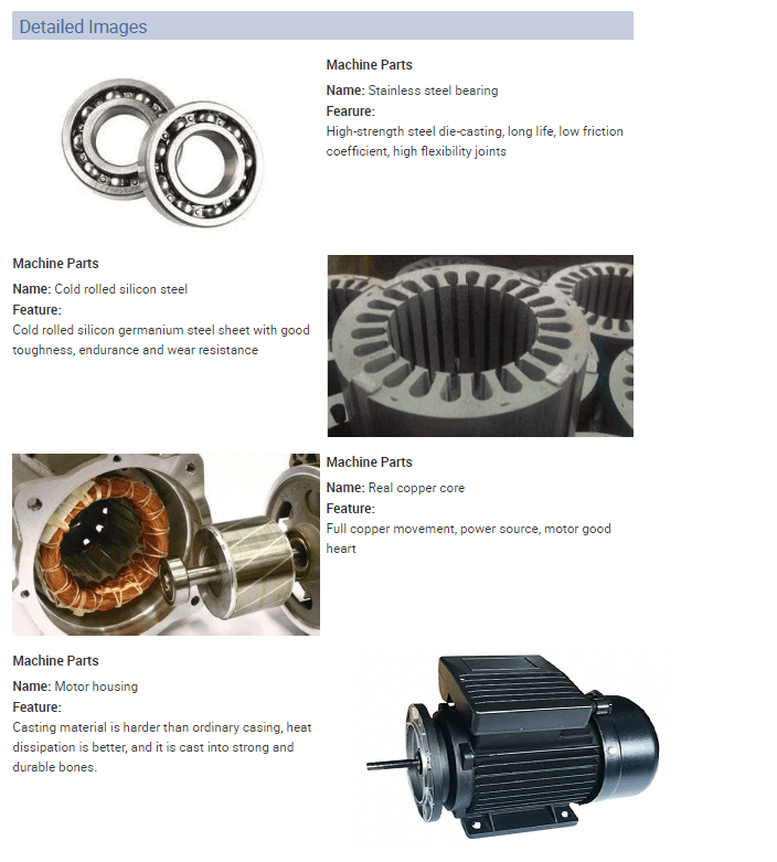 single phase induction motor