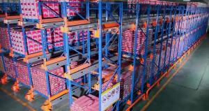 Wholesale FIFO / FILO Basis System Industrial Pallet Racks , Heavy Duty Pallet / Radio Shuttle Racking from china suppliers