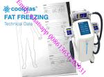 body contouring cost coolscupting cryolipolysis fat freezing sincoheren non