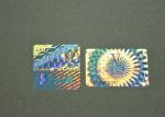 Hot Stamping Foil Holographic Security Stickers For Electronic Packages
