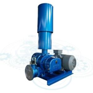 Wholesale A Little Stock 15hp Model 100 Three Lobe Roots Blower with 50-200A Caliber from china suppliers