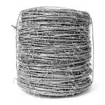 Special Design Widely Used Electro Galvanized Barbed Wire 50 KG Per Roll GI