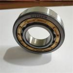 15*35*11mm High quality Cylindrical Roller Bearing N202E Cylindrical Roller