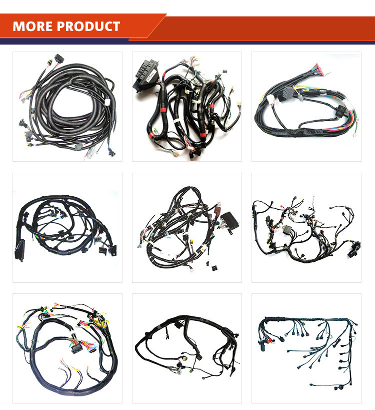 Low frequency 89 Hole ECU Wiring Harness Electric Vehicle Transfer Wiring