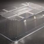 Customizable Clear PET Food Grade Plastic Tray