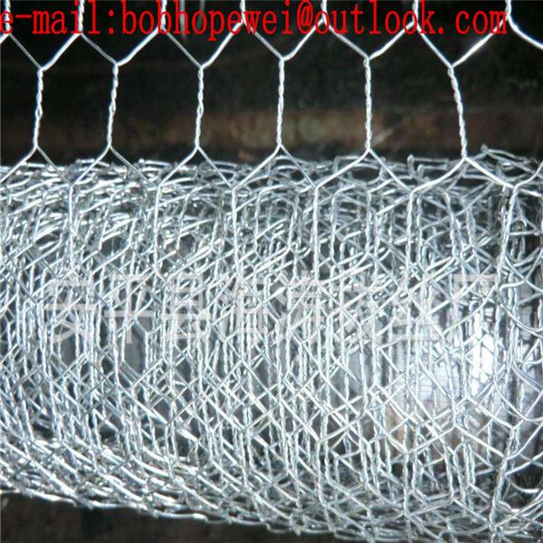 poultry mesh/wire mesh fence/chicken coop wire mesh/small hole chicken wire/plastic mesh fencing/metal mesh