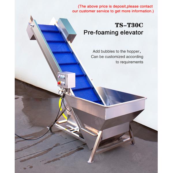 Pre-foaming elevator processing production Destoning Supplying Inspecting Grading Fruit Orange Vegetable Onions horseshoe Ginger Potato Carrot radish