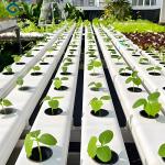 Food Grade PVC Pipe NFT Channel Hydroponic Greenhouse Eco Friendly