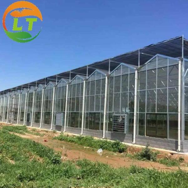 Ventilation System Included Venlo Glass Greenhouse with Galvanized Pipe Steel