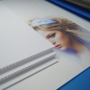 Wholesale Customized Corrugated Plastic Sheets Density 300gsm Printing Color Service 12mm from china suppliers