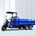 Blue Motorcycle Cargo 3 Wheel Red Chinese Three Wheel Motorcycle Displacement