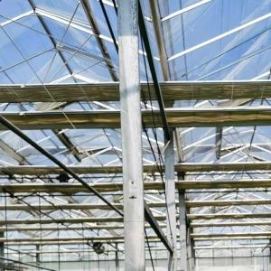 Wholesale A Type Roof Glass Greenhouse for Hydroponic Vegetables Optimal Growing Conditions from china suppliers