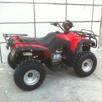 CDI Electric Start 4 Stroke Single Cylinder Sport Utility ATV With Car Front