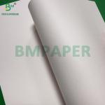 240g + 18g PE Coated Cup Stock Paper Matte Finish One Side Custom Roll Wide