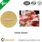 Unflavored Edible Bovine Gelatin 200-280 Bloom Beef Skin Gelatin Powder For Food