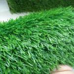 Shop Decoration Indoor Grass Mat Floor Wall Covering CE SGS Approved