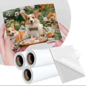 Aqueous 140mic Matte Inkjet Self Adhesive PP Polypropylene Paper Roll