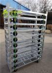 Pull Net Shelf Danish Flower Trolley Cart for Greenhouse , Dutch Trolley Shelves