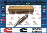 njector 2872544 2872289 2872284 4955080 for DCEC Cummins Engine