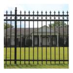 Galvanized Wrought Iron Ornaments Fencing with Powder Coated Security Fence