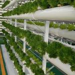 Greenhouse for Soilless Cultivation of Large-Scale Vegetable and Fruit