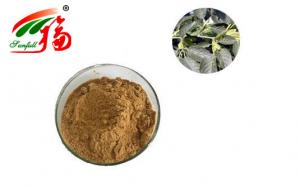 Wholesale Anti Oxidant Eucommia Ulmoides Extract Brown Yellow 60% Chlorogenic Acid from china suppliers
