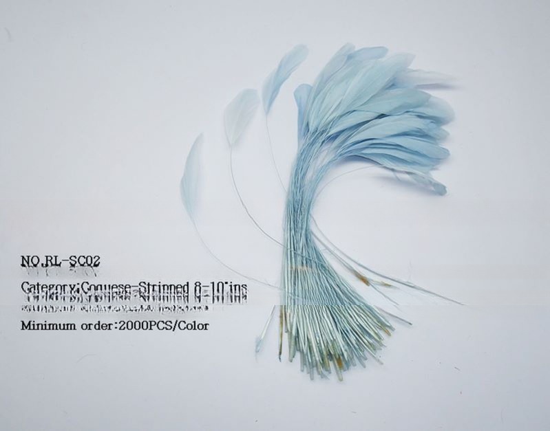 FEDEX Shipping for Millinery Supplies Stripped Coque Feather