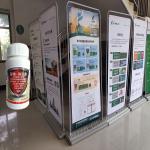 Biological Maize Crop Pesticides AcNPV Killing Agricultural Pests on Vegetable