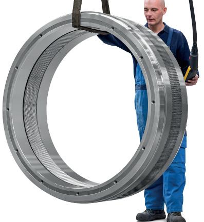 Lamec42.138Heat Treatment Annealing Forging Pellet Making Die Clamp-Type