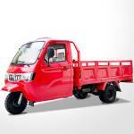 1000W Petrol Type Cargo Loader Tricycle 1 Ton For Home And Agricultural