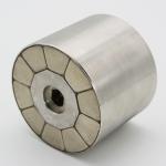 Industrial Neodymium Magnetic Assembly , Alnico / SmCo Motor Shaft Coupling
