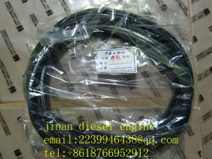 Wholesale jichai JDEC JINAN diesel engine co,ltd chidong diesel engine parts H16V190ZLT2-2 GAS GENERATOR from china suppliers
