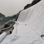 Made 1.0mm 1.5mm 2.0mm HDPE Geomembrane Liners for Long Service Life in Landfill