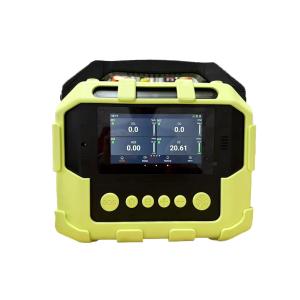 Wholesale Ptm600-S Portable Intelligent Gas Analyzer For Multi Gas Detection from china suppliers