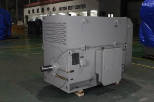 Wholesale High Efficiency 1490RPM AC Asynchronous Motor 6kV IP54 Class F from china suppliers