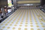 stainless steel HY1000 type biscuit machine line suitable for factory