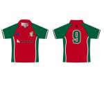 BSCI 100% Polyester Customized Cricket Teamwear Jersey Mens use