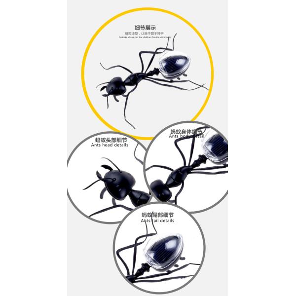 High Quality Black Creative Science Solar Power Novelty Gifts Plastic Promotional Solar Toys Ant