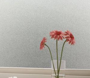 Wholesale 4mm Frosted Heat Strengthened Tempered Glass Panels For Window Frame from china suppliers