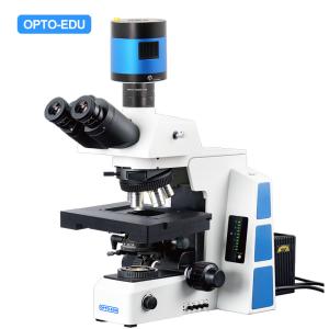 Wholesale Opto Edu M12.5850 Biological Motorized Microscope Bf Xyz from china suppliers