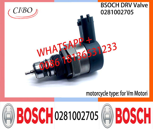 BOSCH DRV Valve 0281002705 Control Valve 0281002705 for Vm Motori