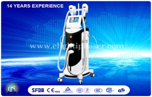 Wholesale Female Vertical Cryolipolysis Equipment , Professional Weight Reduction Machine from china suppliers