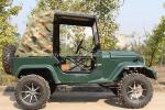 2 Seats for Adults 200cc 300cc Shaft Transmission System 2WD Four Wheeler Buggy
